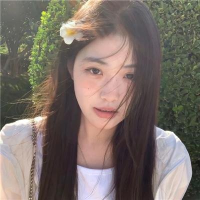 琴韵情深