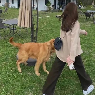 星期一的硕果第一季
