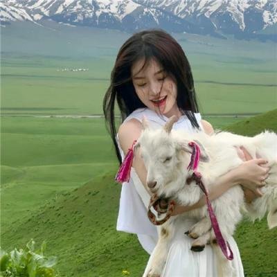 休想行刺本王小姐